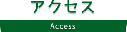 アクセス Access